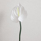 Artificial Anthurium Molded Plastic | Kelmera