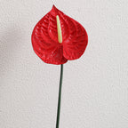 Artificial Anthurium Molded Plastic | Kelmera