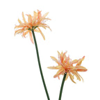 Artificial Blossom Branch with Delicate Flowers | Kelmera