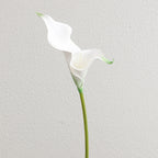 Artificial Calla Blossom Branch with Realistic Details | Kelmera