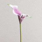 Artificial Calla Blossom Branch with Realistic Details | Kelmera
