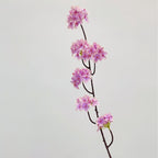 Artificial Cherry Blossom Branch | Kelmera