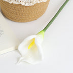 Artificial Flower White Brown | Kelmera