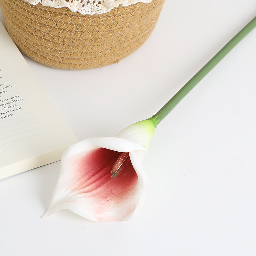 Artificial Flower White Brown | Kelmera