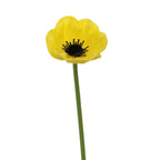 Artificial Flower White Cream | Kelmera