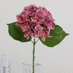 Artificial Hydrangea Bouquet Beige Light Brown | Kelmera