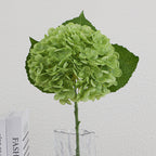 Artificial Hydrangea Bouquet Beige Light Brown | Kelmera