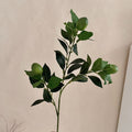 Artificial Lime Branch | Kelmera