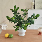 Artificial Lime Branch | Kelmera