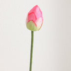 Artificial Lotus Flower Pink Green | Kelmera