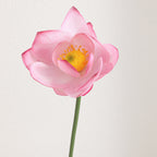 Artificial Lotus Flower Pink Green | Kelmera