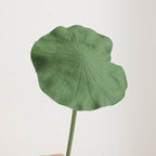 Artificial Lotus Flower Pink Green | Kelmera