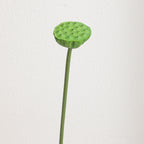 Artificial Lotus Flower Pink Green | Kelmera