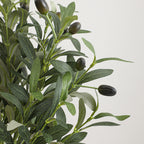 Artificial Olive Tree Branch with Detailed Leaves and Fruits | Kelmera