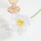 Artificial Orchid Flower Branch with Intricately Detailed Flowers | Kelmera