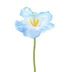Artificial Orchid Flower Branch with Intricately Detailed Flowers | Kelmera
