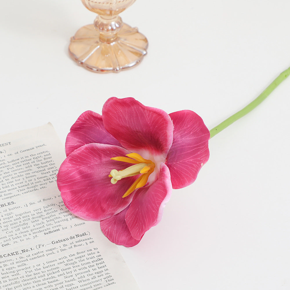 Artificial Orchid Flower Branch with Intricately Detailed Flowers | Kelmera
