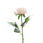 Artificial Silk Rose with Leaves | Kelmera