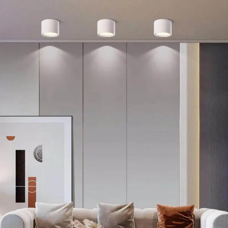 Ashdisa Surface Mounted Downlight