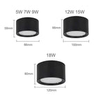 Ashdisa Surface Mounted Downlight