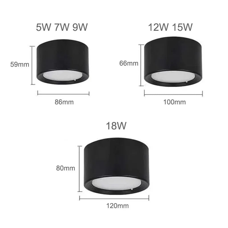 Ashdisa Surface Mounted Downlight