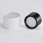 Ashdisa Surface Mounted Downlight