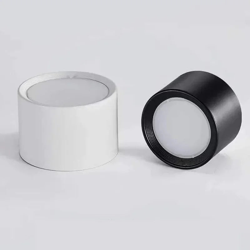 Ashdisa Surface Mounted Downlight