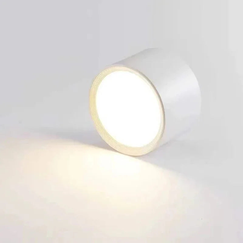 Ashdisa Surface Mounted Downlight