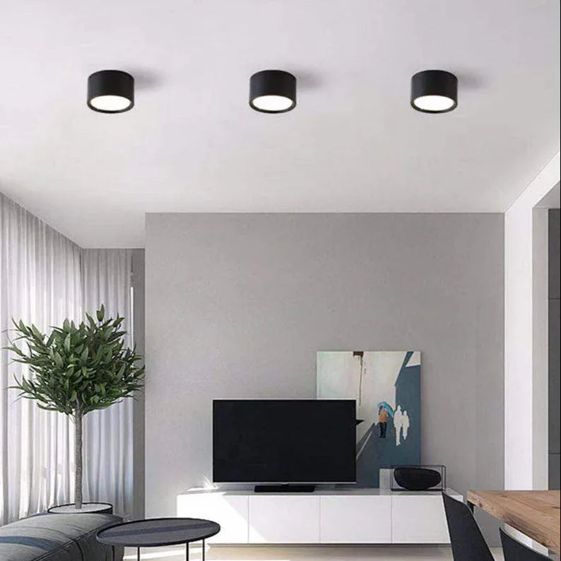 Ashdisa Surface Mounted Downlight