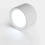 Ashdisa Surface Mounted Downlight