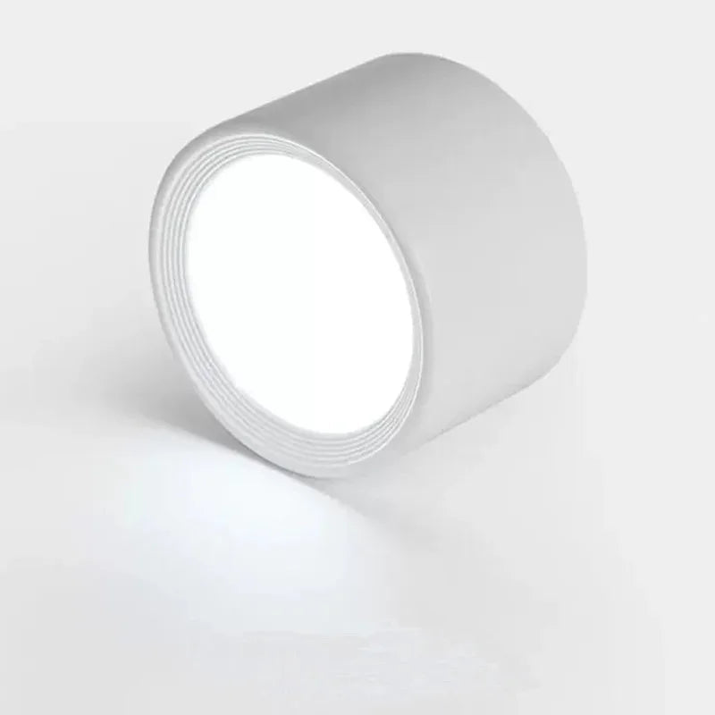 Ashdisa Surface Mounted Downlight