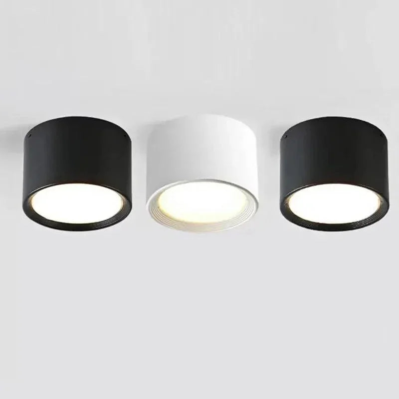 Ashdisa Surface Mounted Downlight