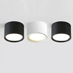 Ashdisa Surface Mounted Downlight