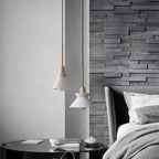 Ashstoma Pendant Light