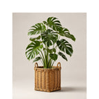 Atmospheric Storage Baskets | Kelmera