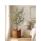 Atmospheric Storage Baskets | Kelmera