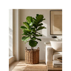 Atmospheric Storage Baskets | Kelmera
