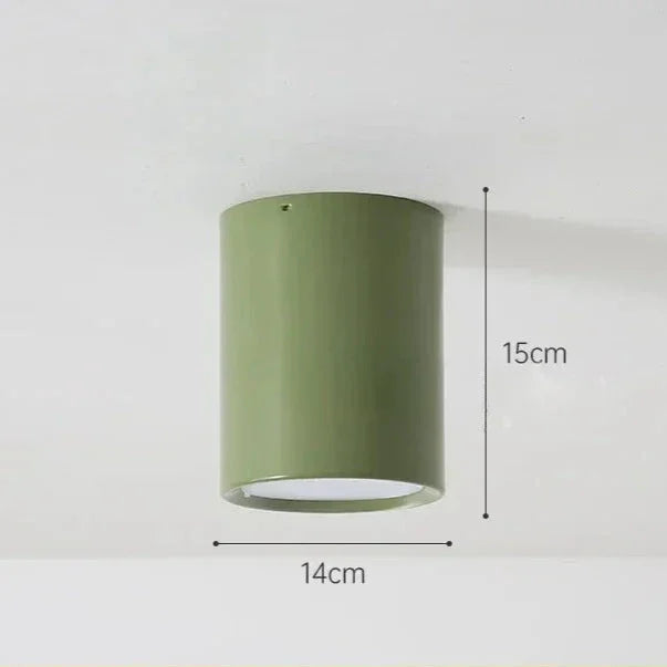 Rosisse Surface Mounted Downlight-Kelmera