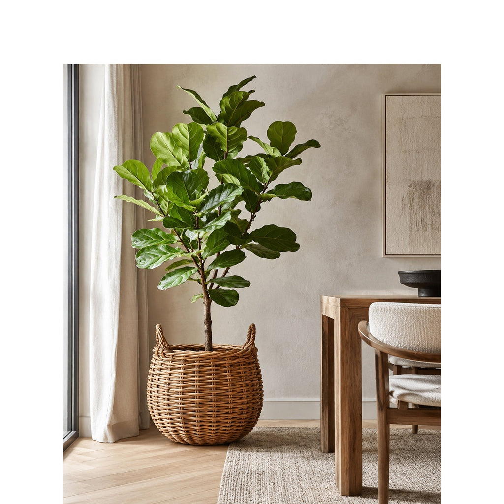Basket for Stylish Storage | Kelmera