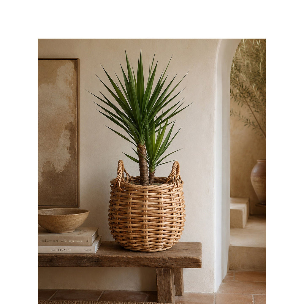 Basket for Stylish Storage | Kelmera
