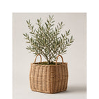 Basket for Stylish Storage Woven Natural Fiber | Kelmera