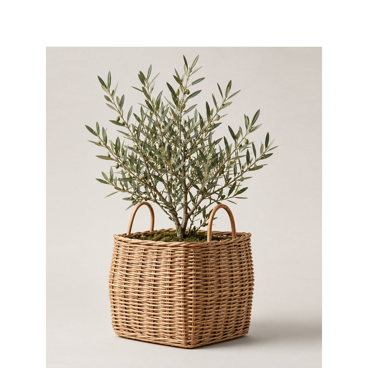 Basket for Stylish Storage Woven Natural Fiber | Kelmera