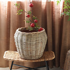 Basket Model Krdl | Kelmera