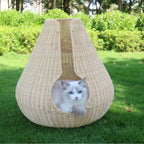 Basket with Elegant Design | Kelmera