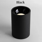 Belmunda Black & White Surface Mounted Downlight