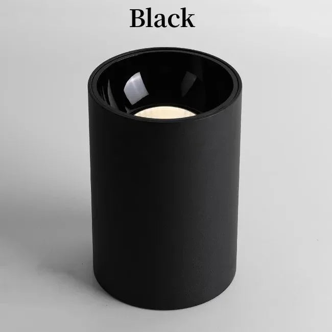 Belmunda Black & White Surface Mounted Downlight