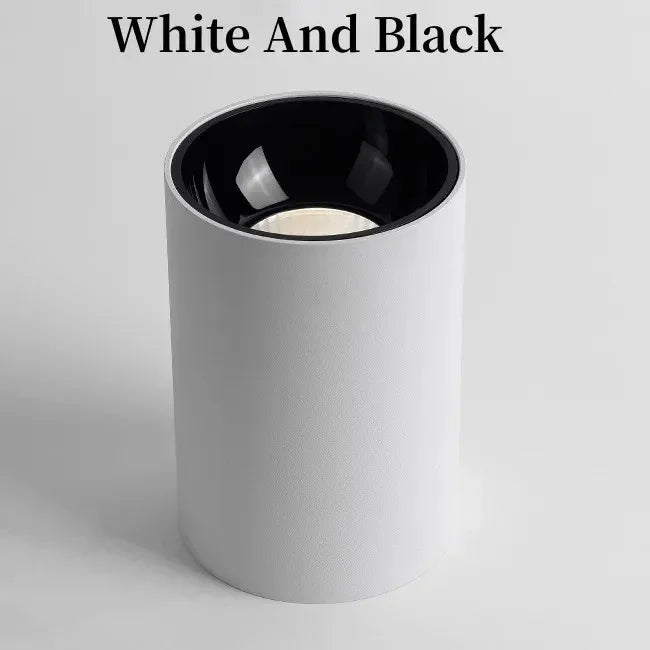 Belmunda Black & White Surface Mounted Downlight