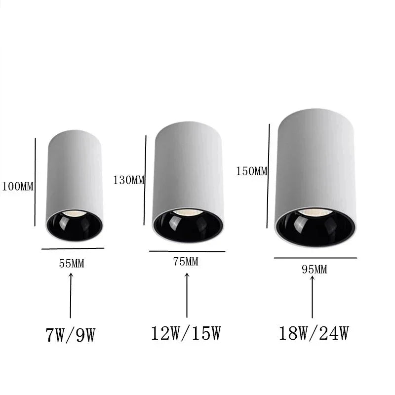 Belmunda Black & White Surface Mounted Downlight