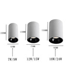 Belmunda Black & White Surface Mounted Downlight