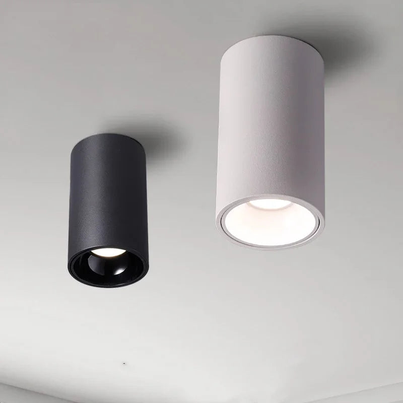 Belmunda Black & White Surface Mounted Downlight